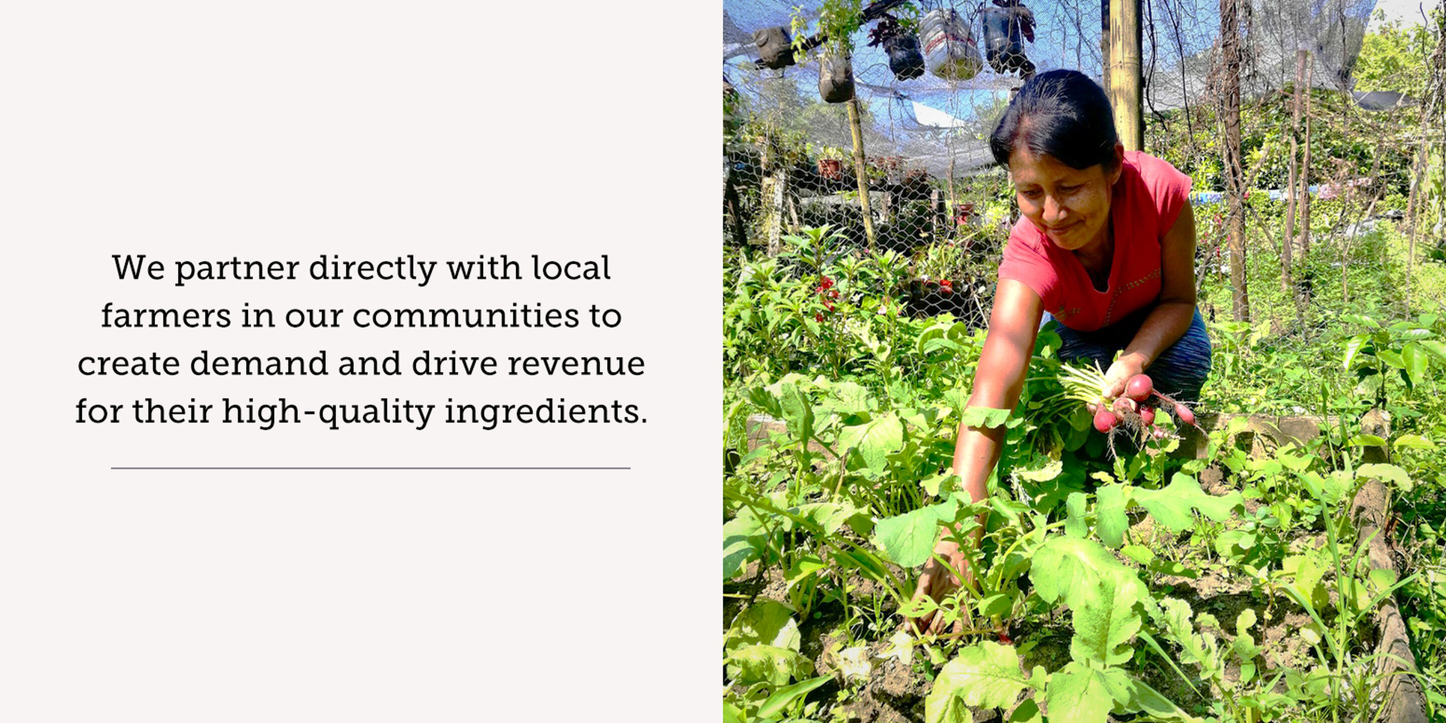 We partner with local farmers in our communities to create demand and drive revenue for their high quality ingredients